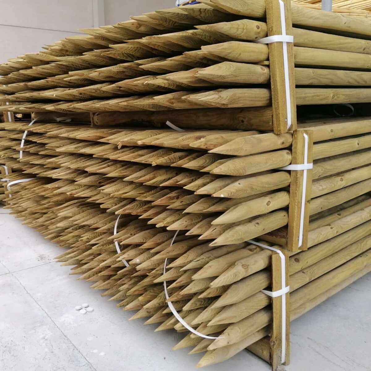 Muestras de diferentes tipos de postes de madera tratada